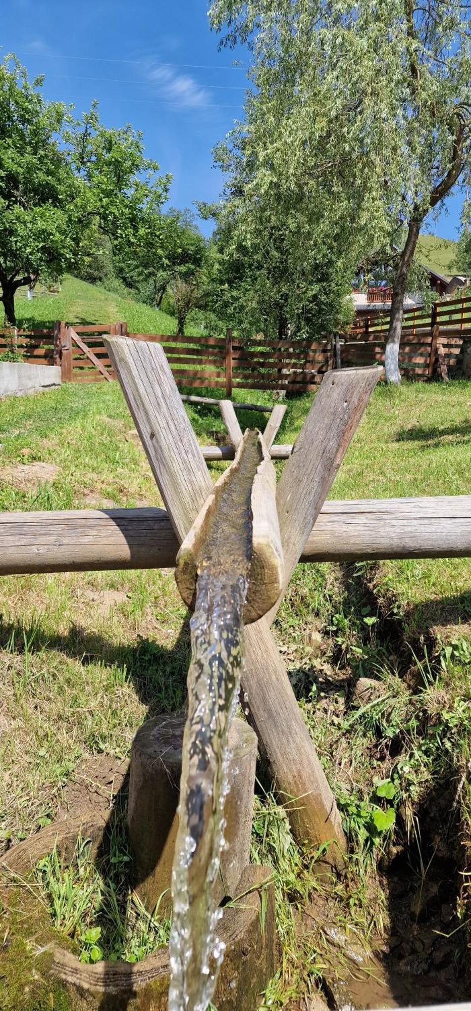 Casa Agroturistica Tarancuta Din Pensión Vatra Moldoviţei